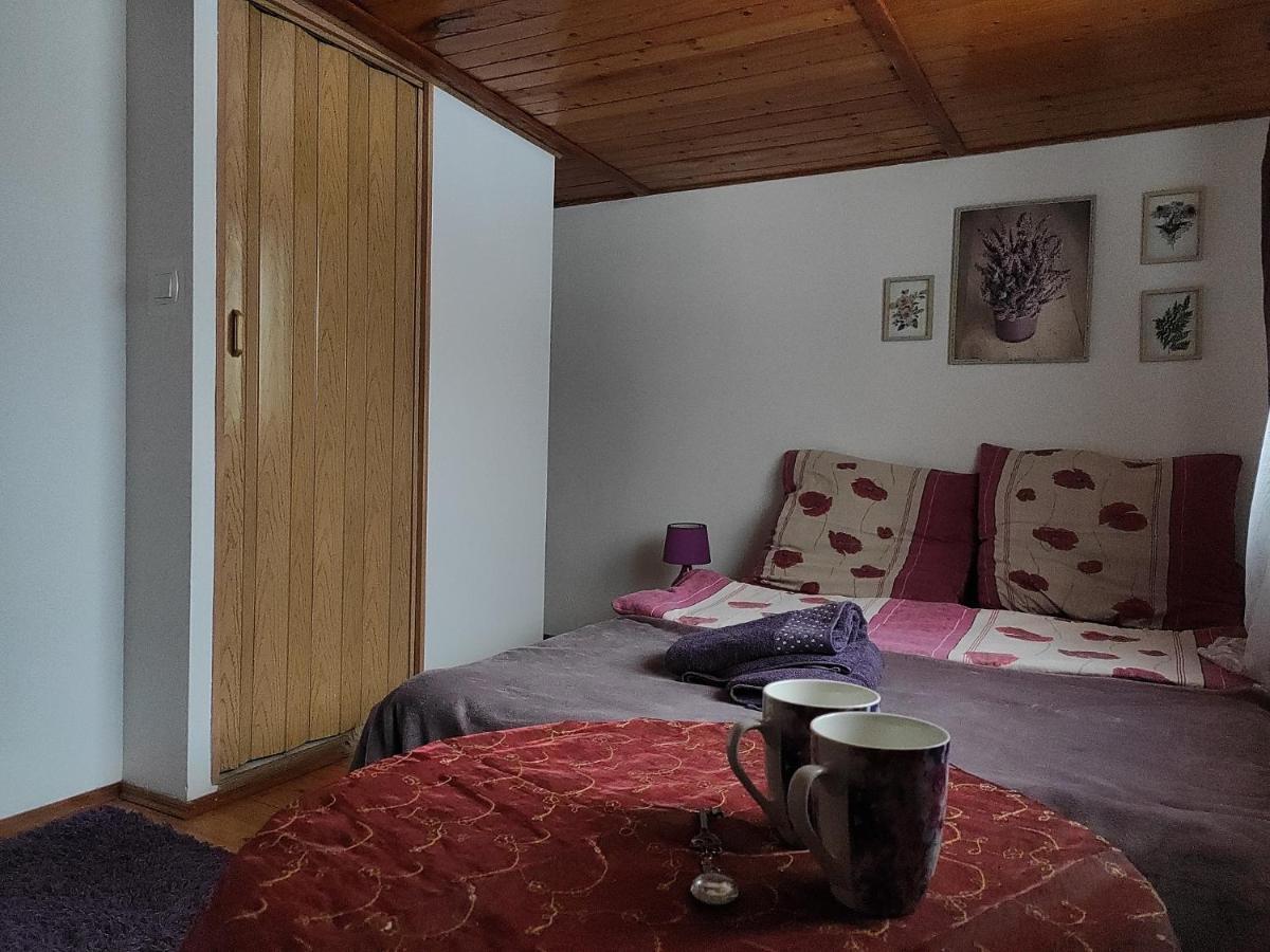 Home Stay Slotwinska Krynica Zdroj Buitenkant foto