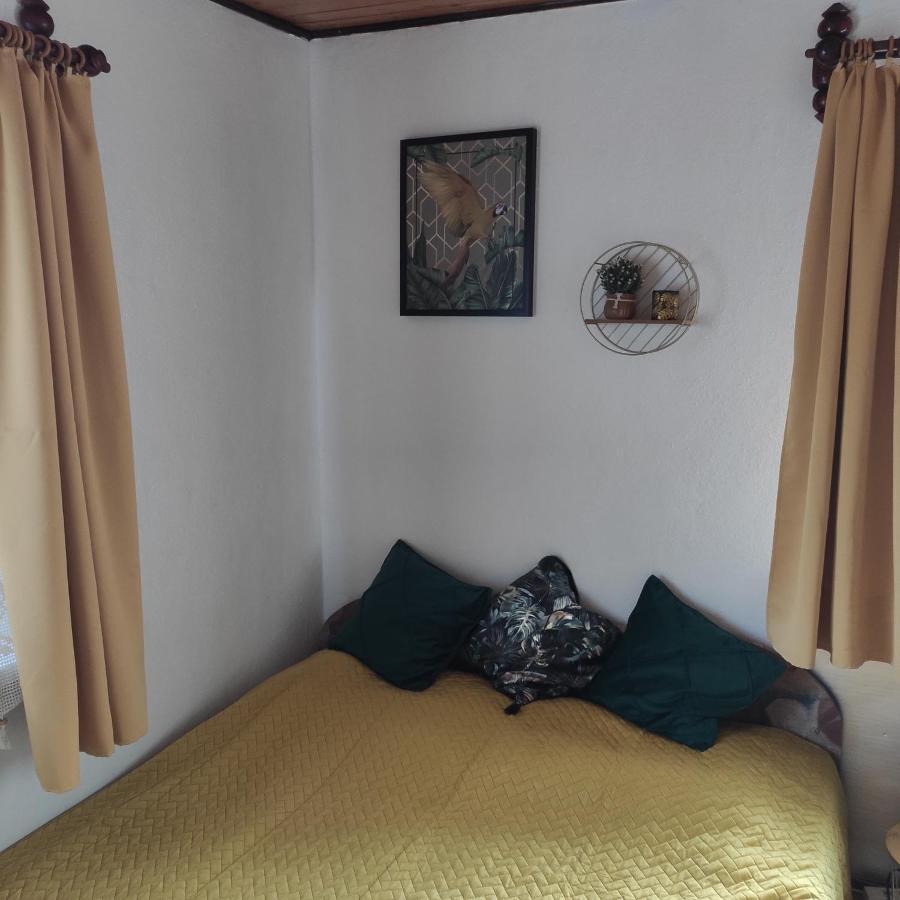 Home Stay Slotwinska Krynica Zdroj Buitenkant foto