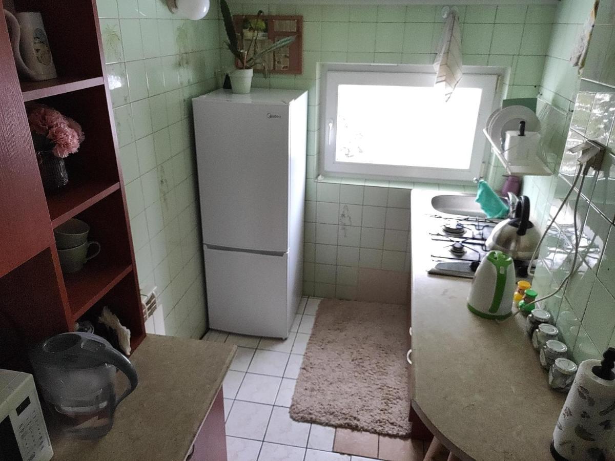 Home Stay Slotwinska Krynica Zdroj Buitenkant foto